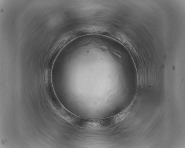 X0000067490167200604071213