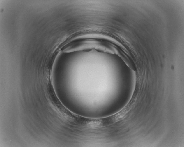 X0000067490168200604071213