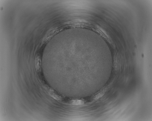 X0000067490169200604071213