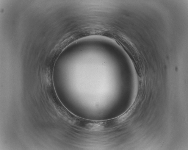 X0000067490170200604071213