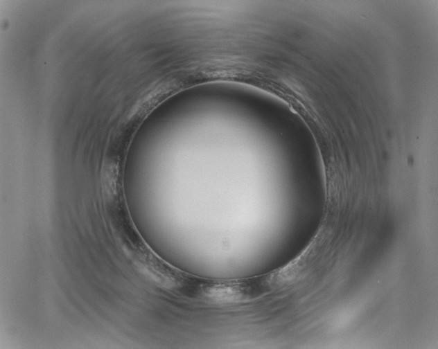 X0000067490171200604071213