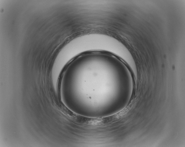 X0000067490172200604071213