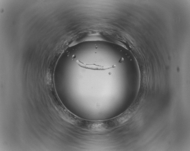 X0000067490173200604071213