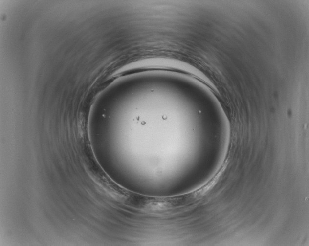 X0000067490174200604071213