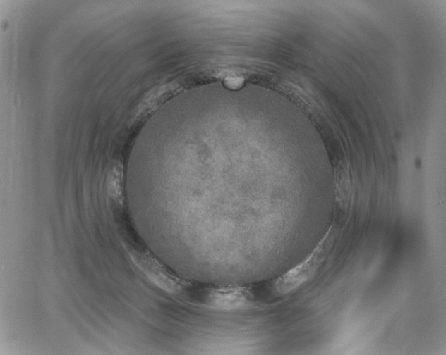 X0000067490175200604071213