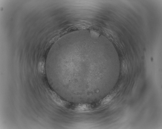 X0000067490177200604071213