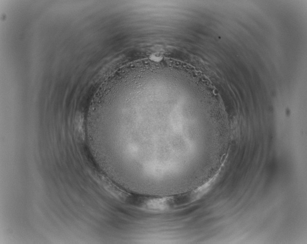 X0000067490178200604071213