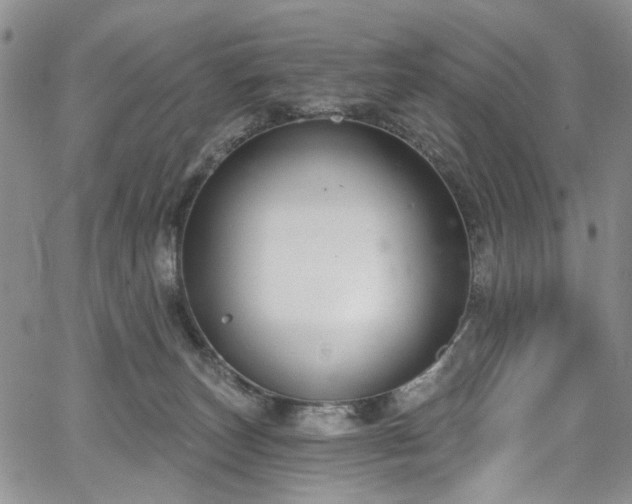 X0000067490179200604071213