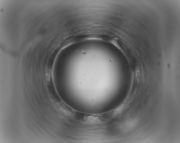 X0000067490180200604071213