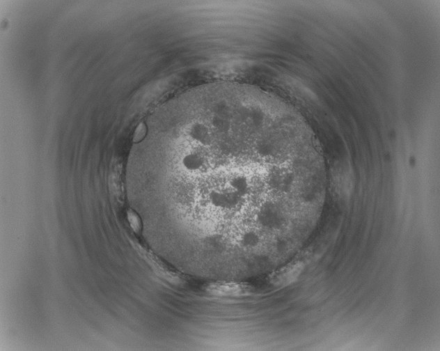 X0000067490181200604071213