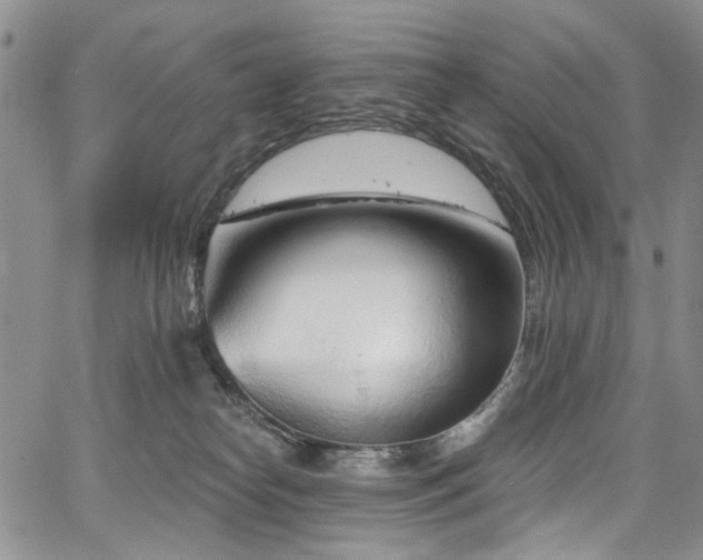 X0000067490182200604071213