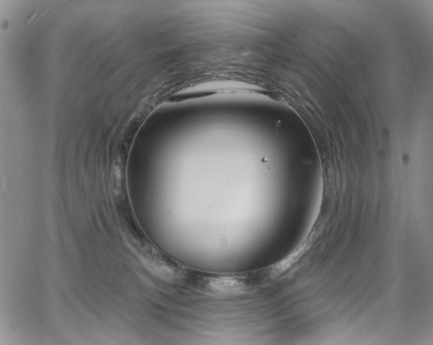 X0000067490183200604071213