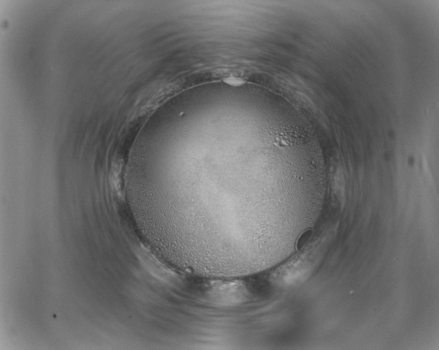 X0000067490185200604071213