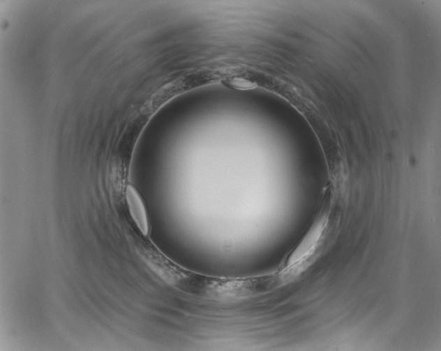 X0000067490186200604071213