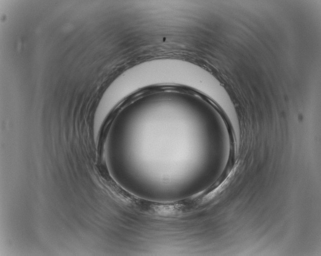 X0000067490187200604071213