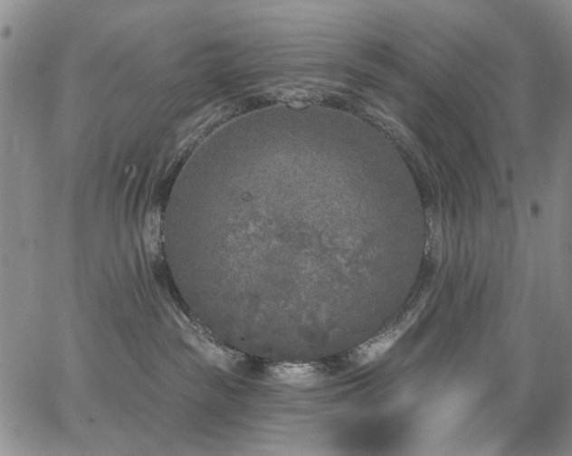 X0000067490189200604071213