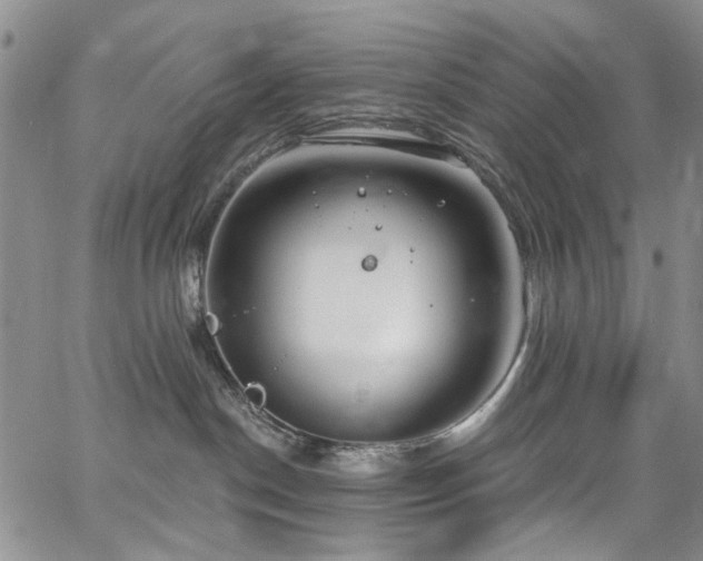 X0000067490190200604071213