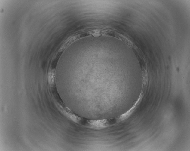 X0000067490191200604071213