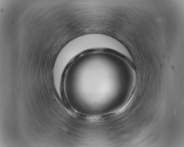 X0000067490192200604071213