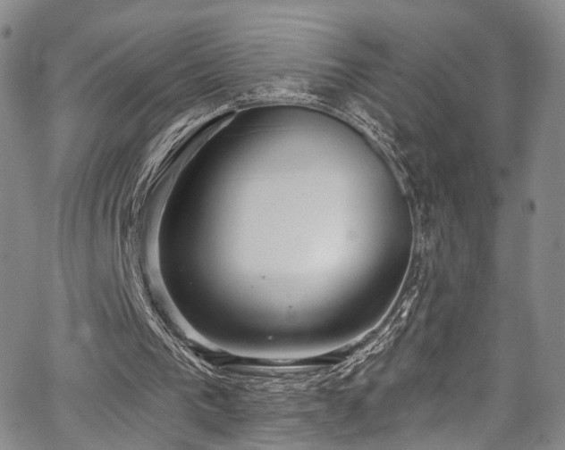 X0000067490193200604071212