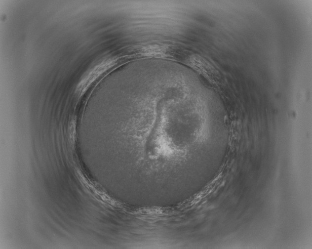 X0000067490194200604071212