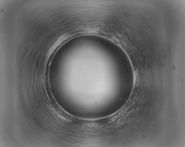 X0000067490195200604071212