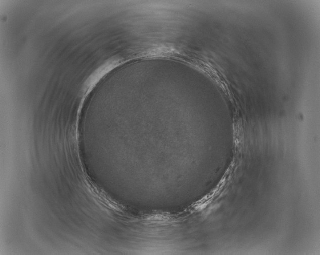 X0000067490196200604071212