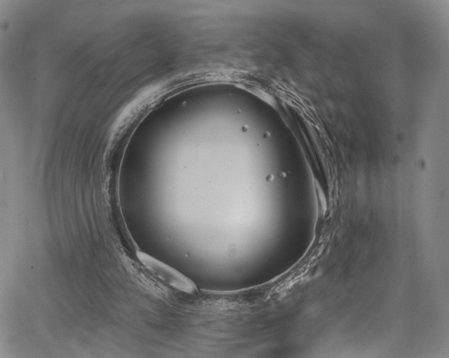 X0000067490197200604071212