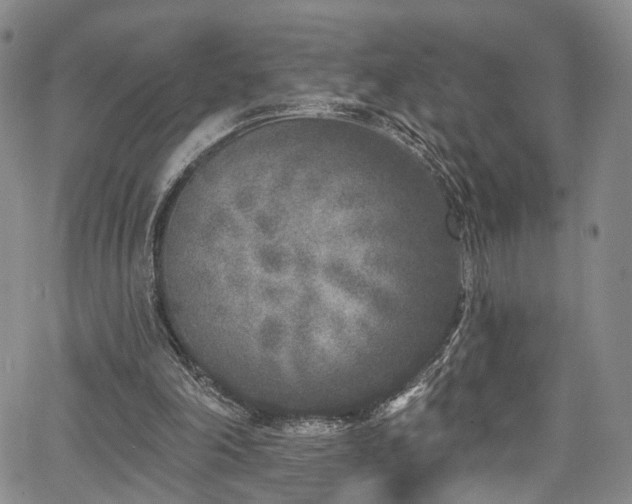 X0000067490198200604071212