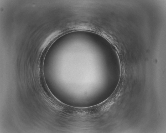 X0000067490199200604071212