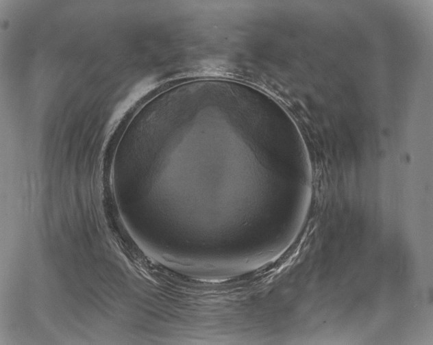 X0000067490200200604071212