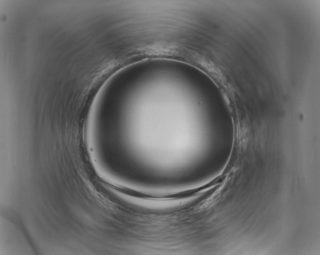 X0000067490201200604071212