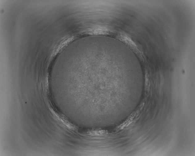 X0000067490202200604071212