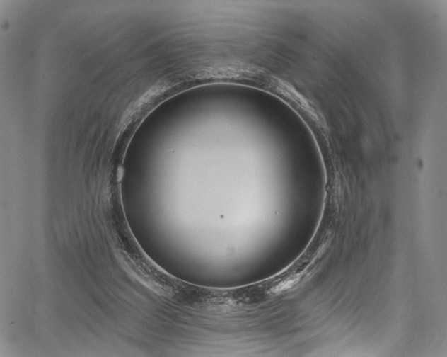 X0000067490203200604071212