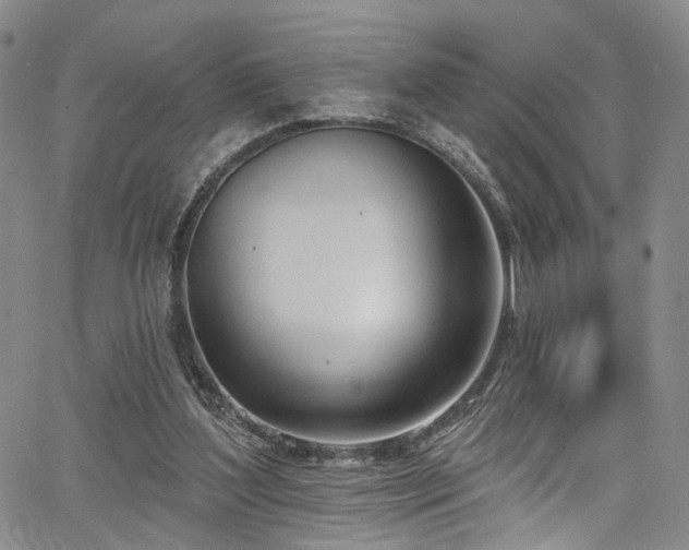 X0000067490204200604071212