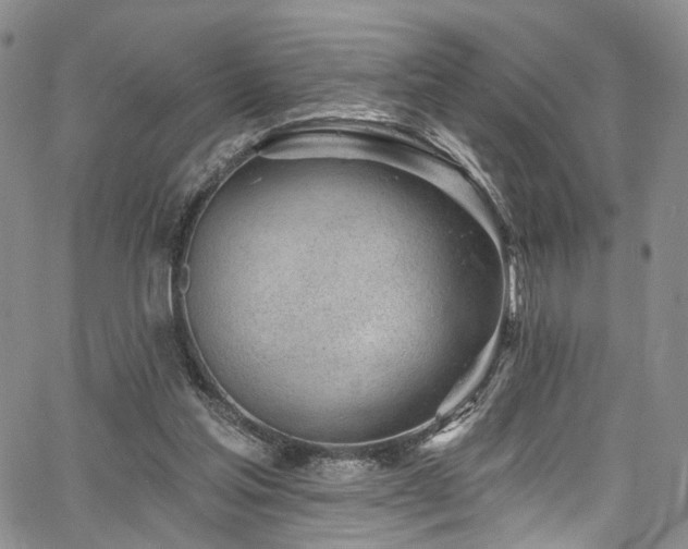 X0000067490205200604071212