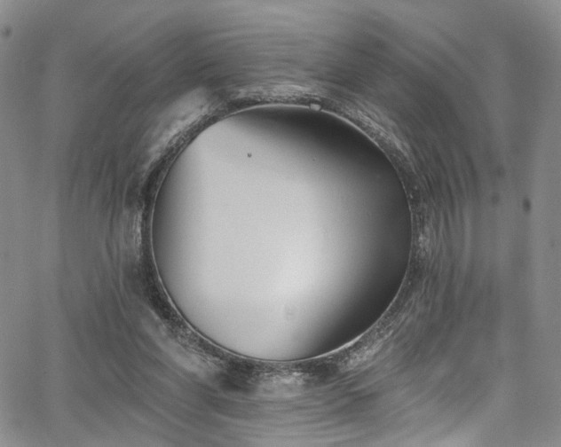 X0000067490206200604071212