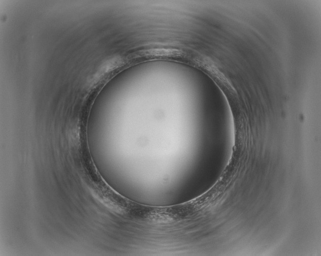 X0000067490207200604071212