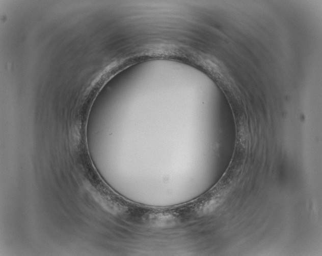 X0000067490208200604071212