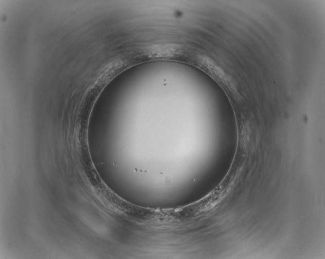 X0000067490209200604071212