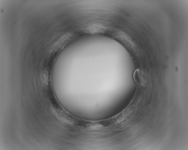 X0000067490210200604071212