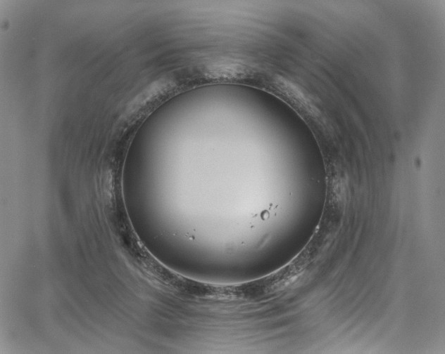 X0000067490211200604071212