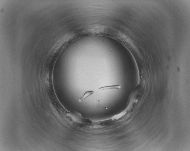 X0000067490212200604071212