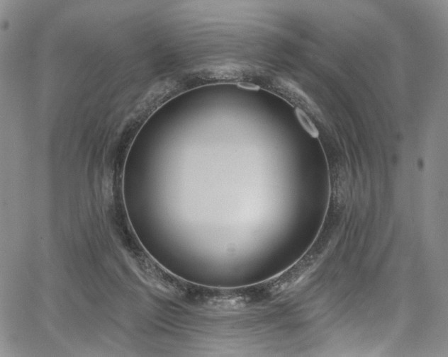 X0000067490213200604071212