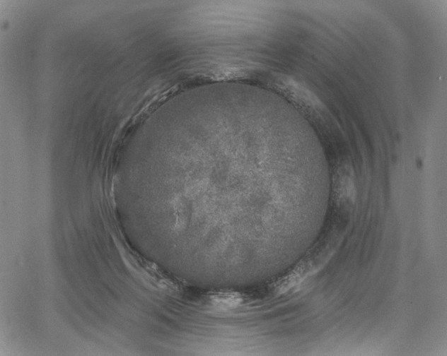 X0000067490214200604071212