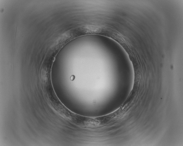 X0000067490215200604071212