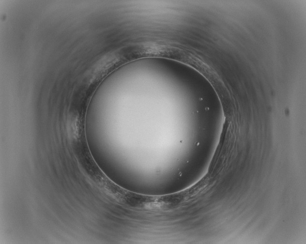 X0000067490216200604071212