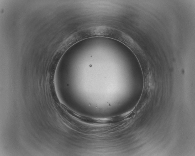 X0000067490217200604071212