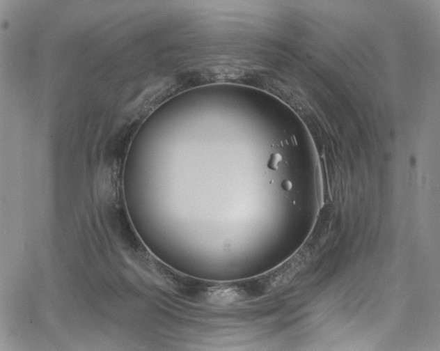 X0000067490218200604071212