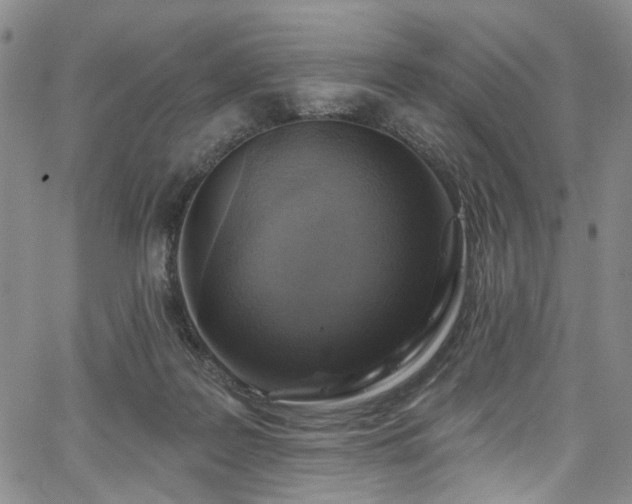 X0000067490219200604071212